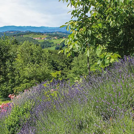 Mit Pool Und Sauna * Breitenfeld an der Rittschein