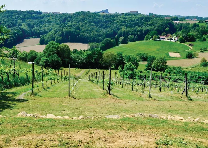 Mit Pool Und Sauna *